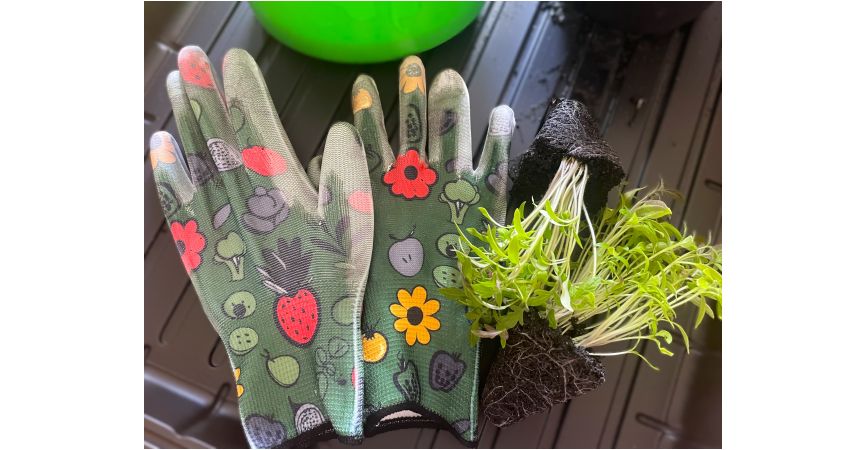 Sezon ogrodniczy – czas start!